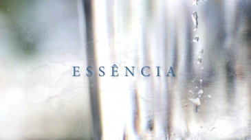 ROCHE – ESSÊNCIA